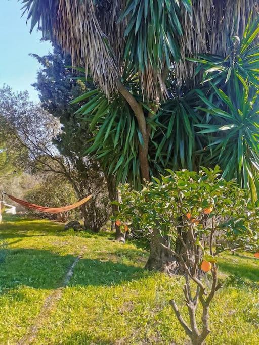Sombrerocordobe Villa Cordoba Luaran gambar