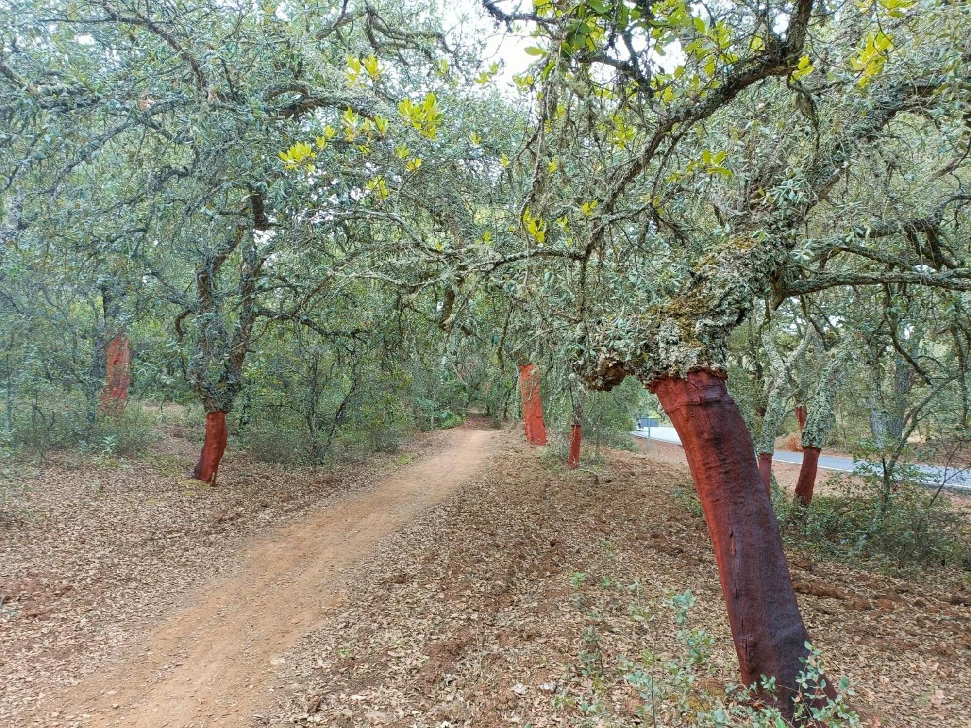 Sombrerocordobe Villa Cordoba Luaran gambar